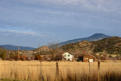 DSC_3098 (Large).JPG